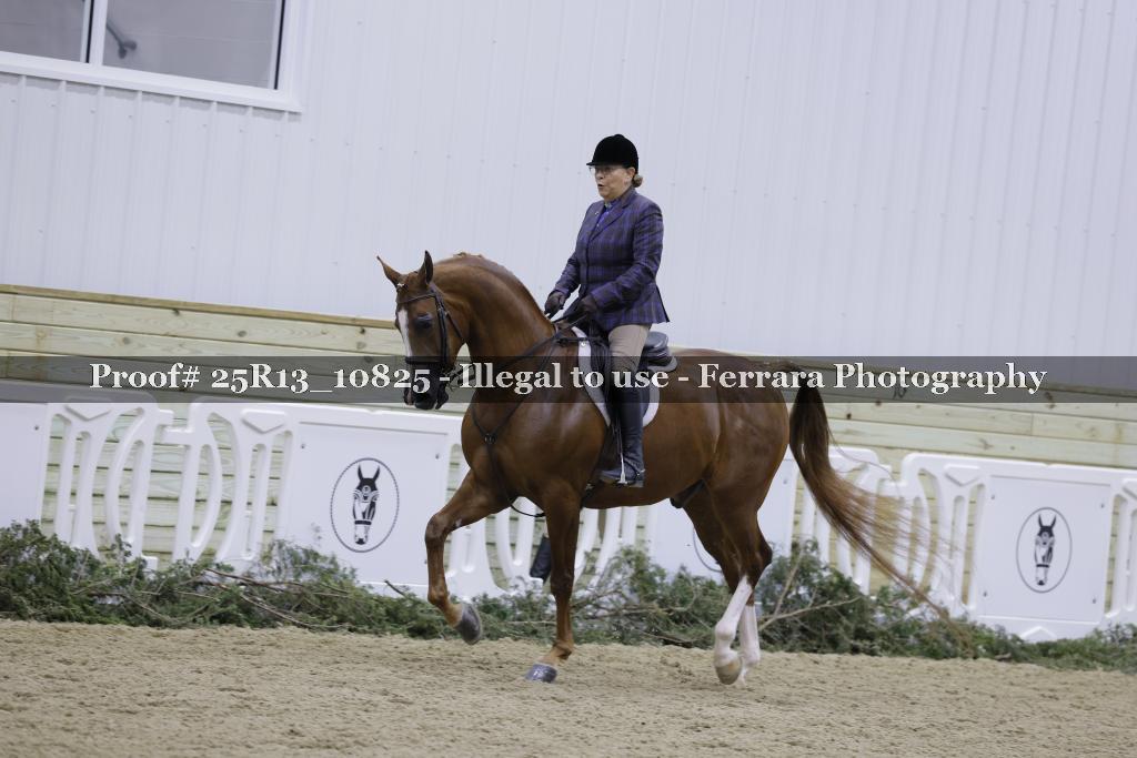 Proof Number 25R13_10825
