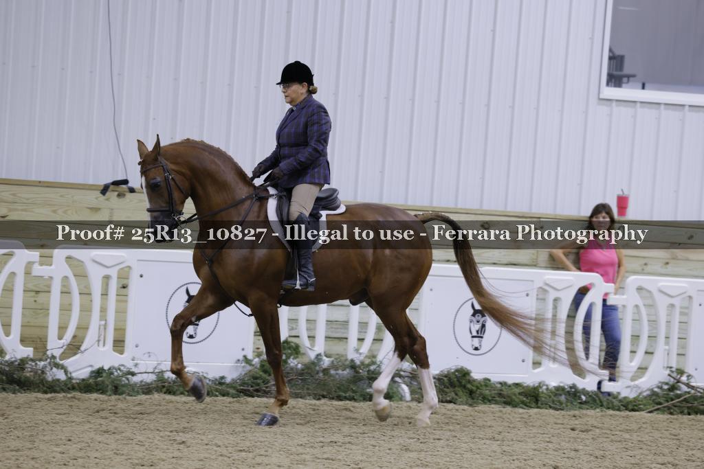 Proof Number 25R13_10827