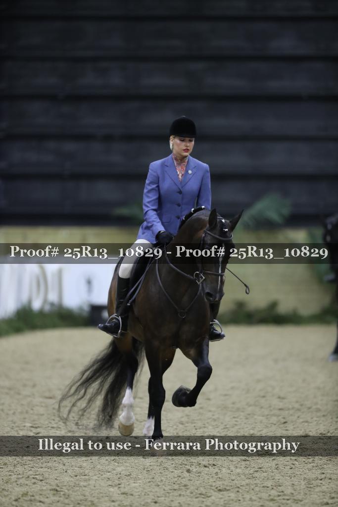 Proof Number 25R13_10829