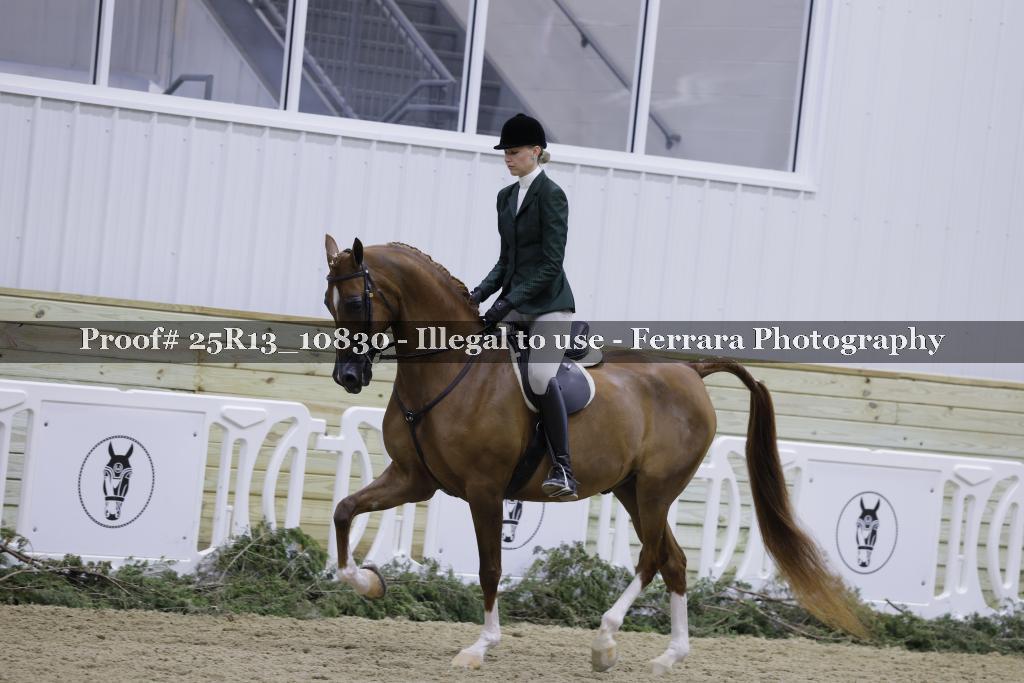 Proof Number 25R13_10830