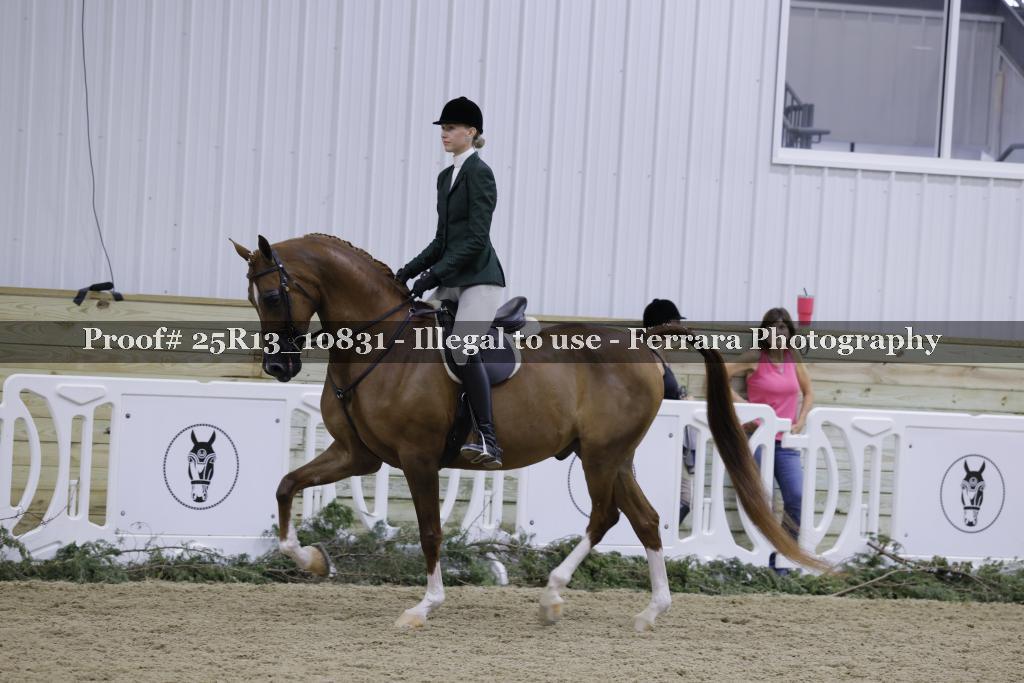 Proof Number 25R13_10831