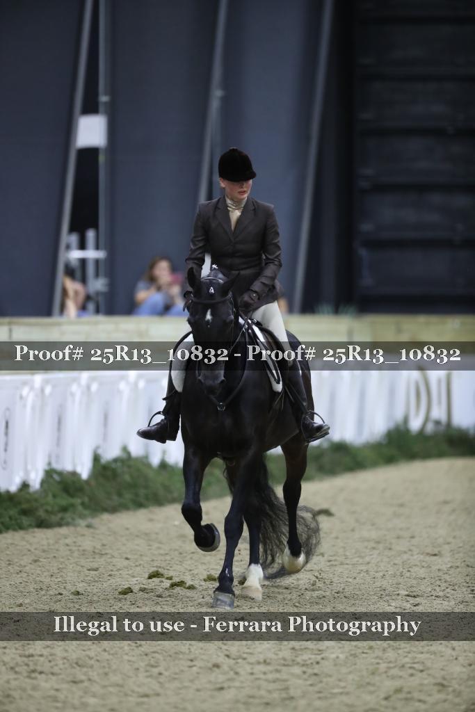 Proof Number 25R13_10832