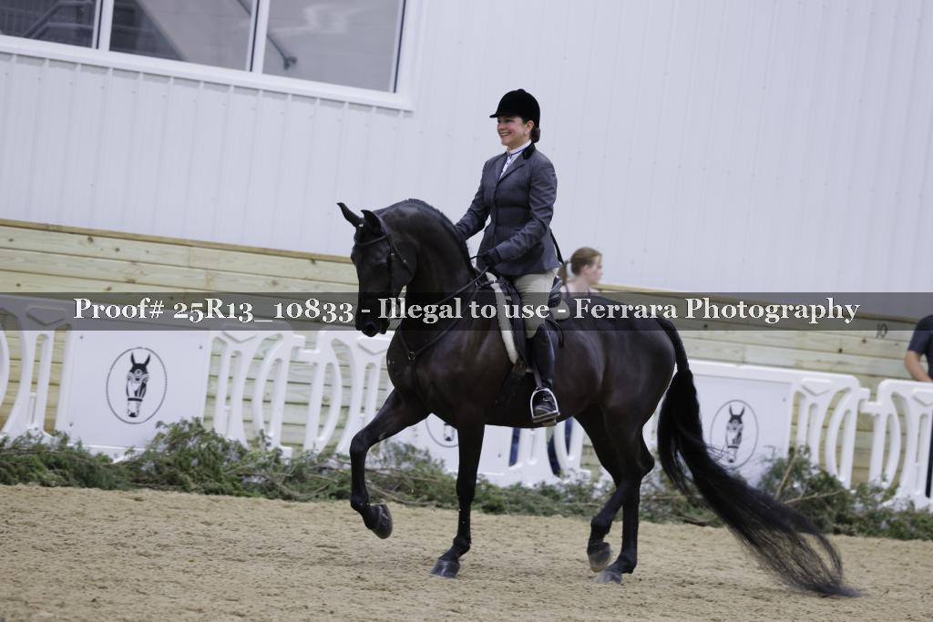 Proof Number 25R13_10833