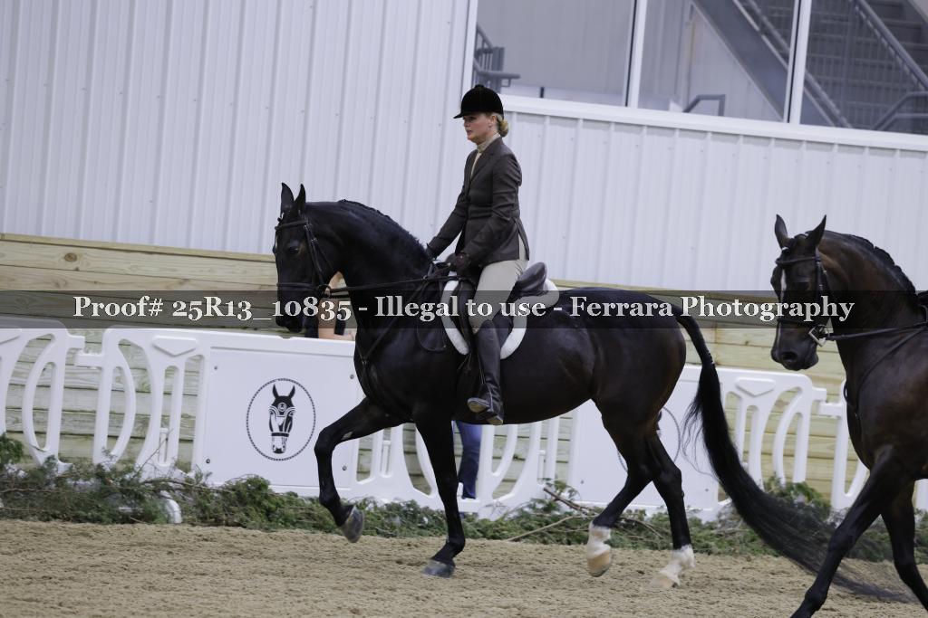 Proof Number 25R13_10835