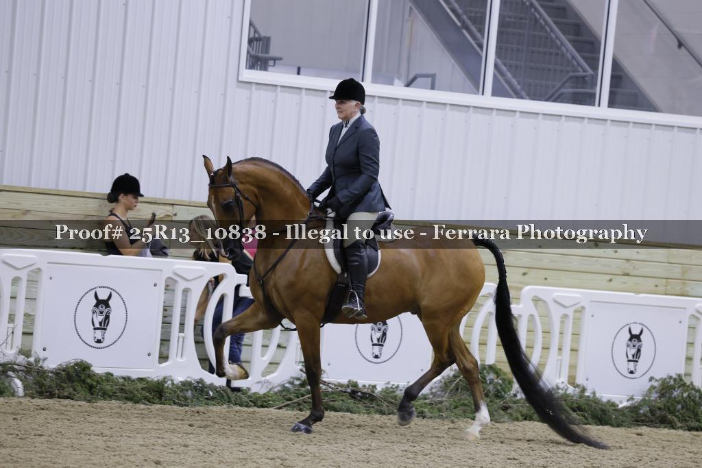 Proof Number 25R13_10838