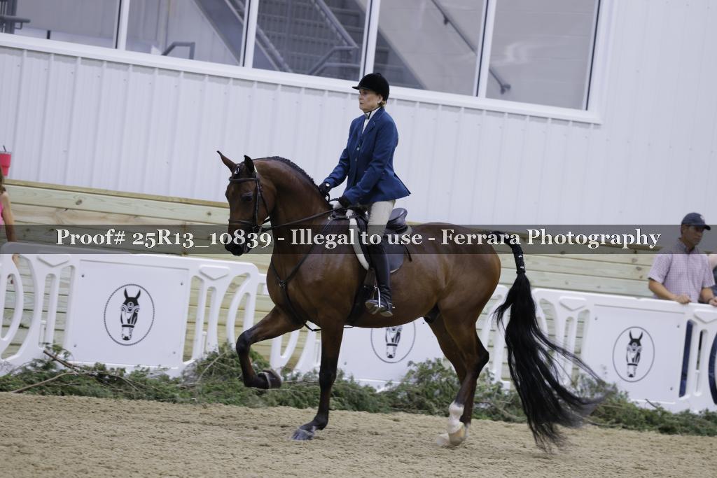 Proof Number 25R13_10839