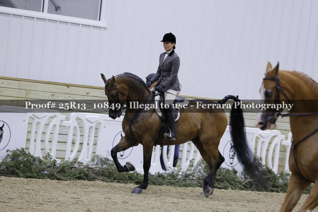 Proof Number 25R13_10849