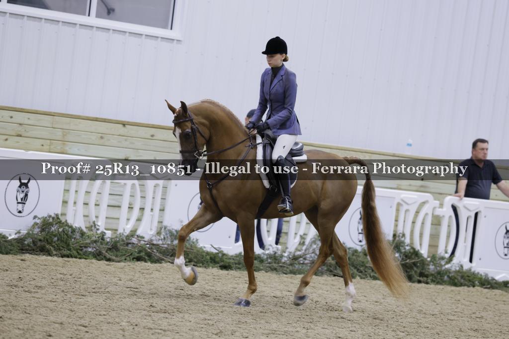 Proof Number 25R13_10851