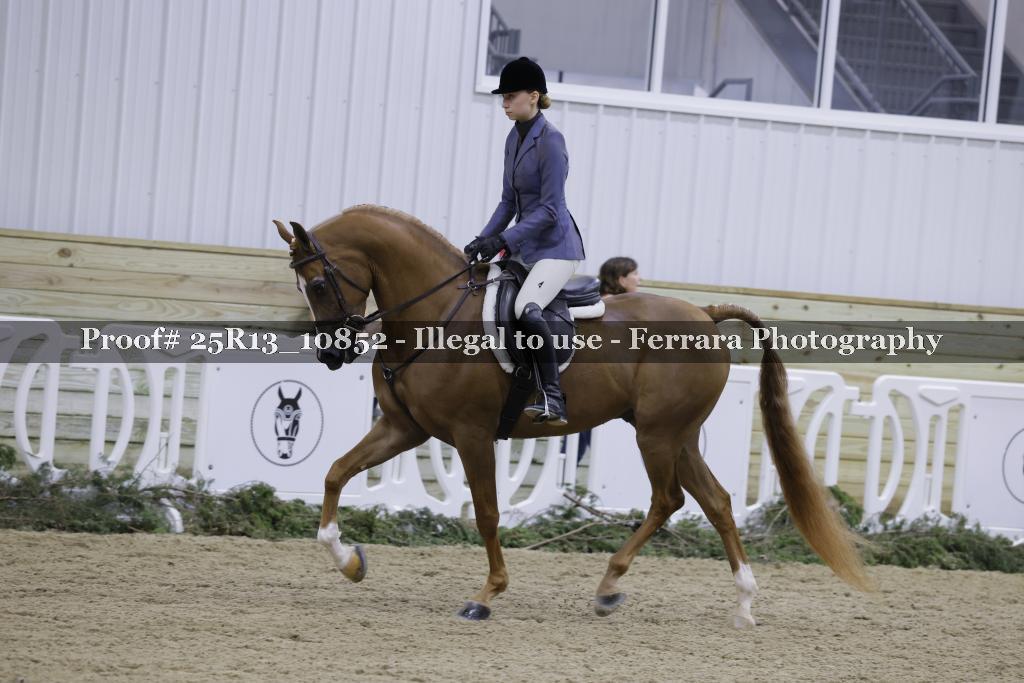 Proof Number 25R13_10852