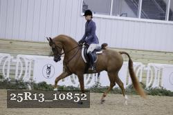 25R13_10852 thumbnail
