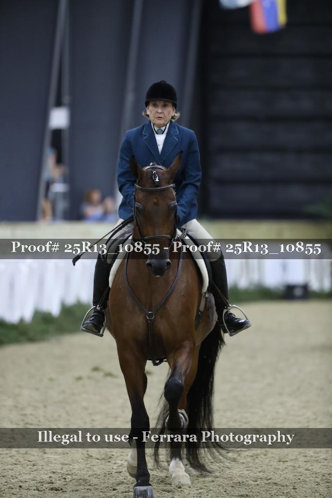 Proof Number 25R13_10855