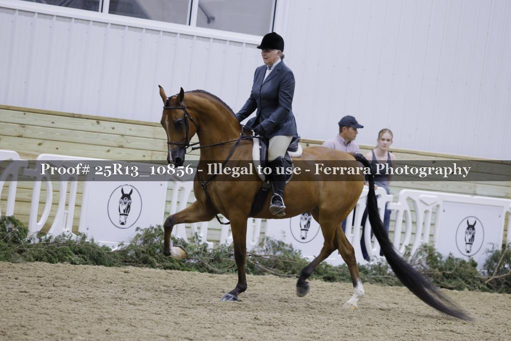 Proof Number 25R13_10856