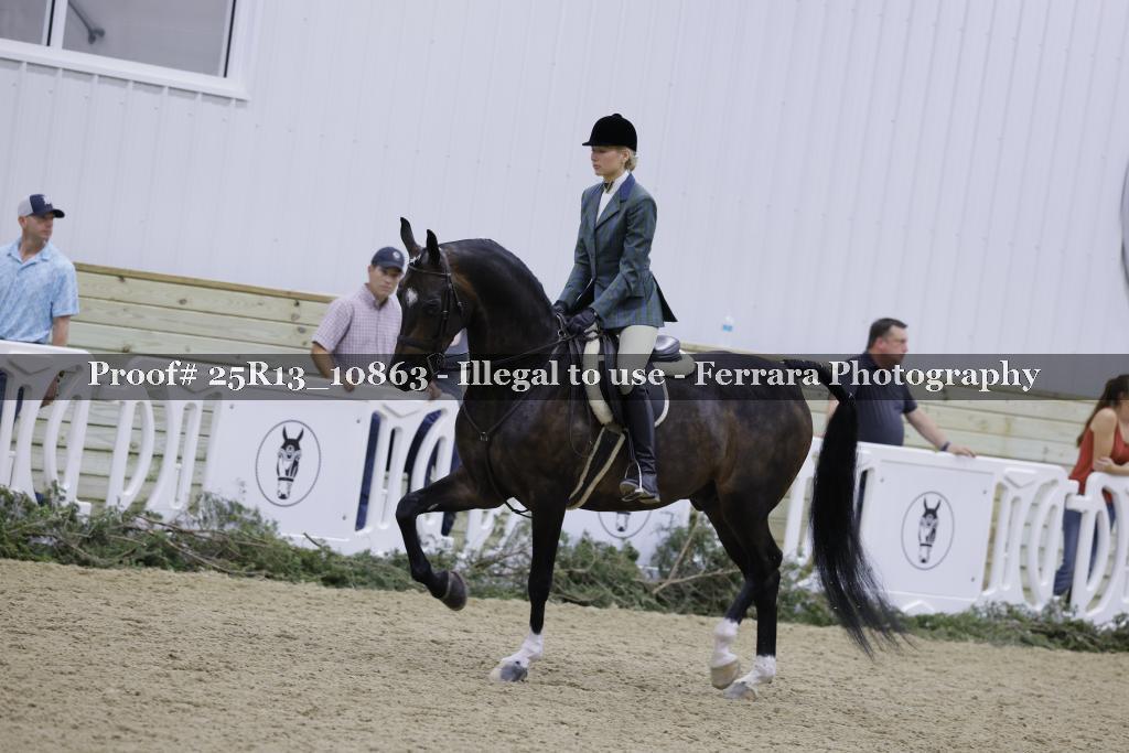 Proof Number 25R13_10863