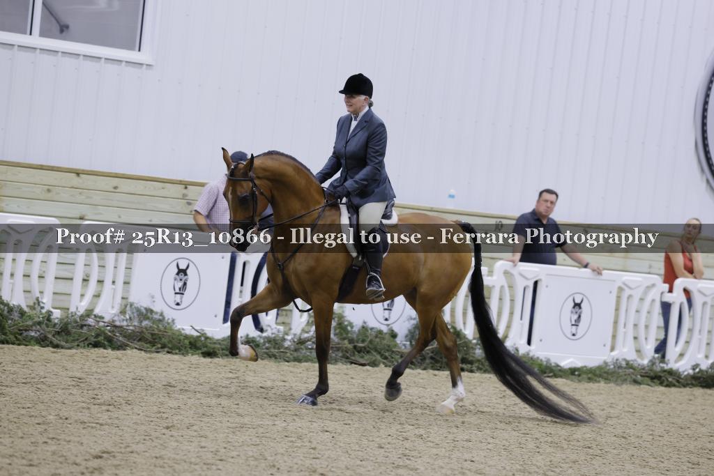 Proof Number 25R13_10866