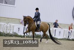 25R13_10866 thumbnail