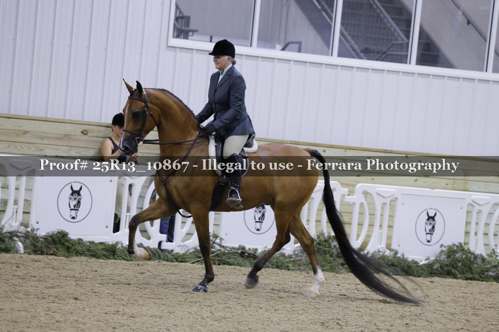 Proof Number 25R13_10867