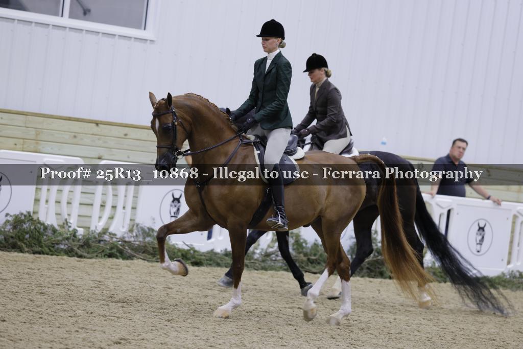 Proof Number 25R13_10868