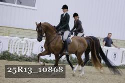 25R13_10868 thumbnail