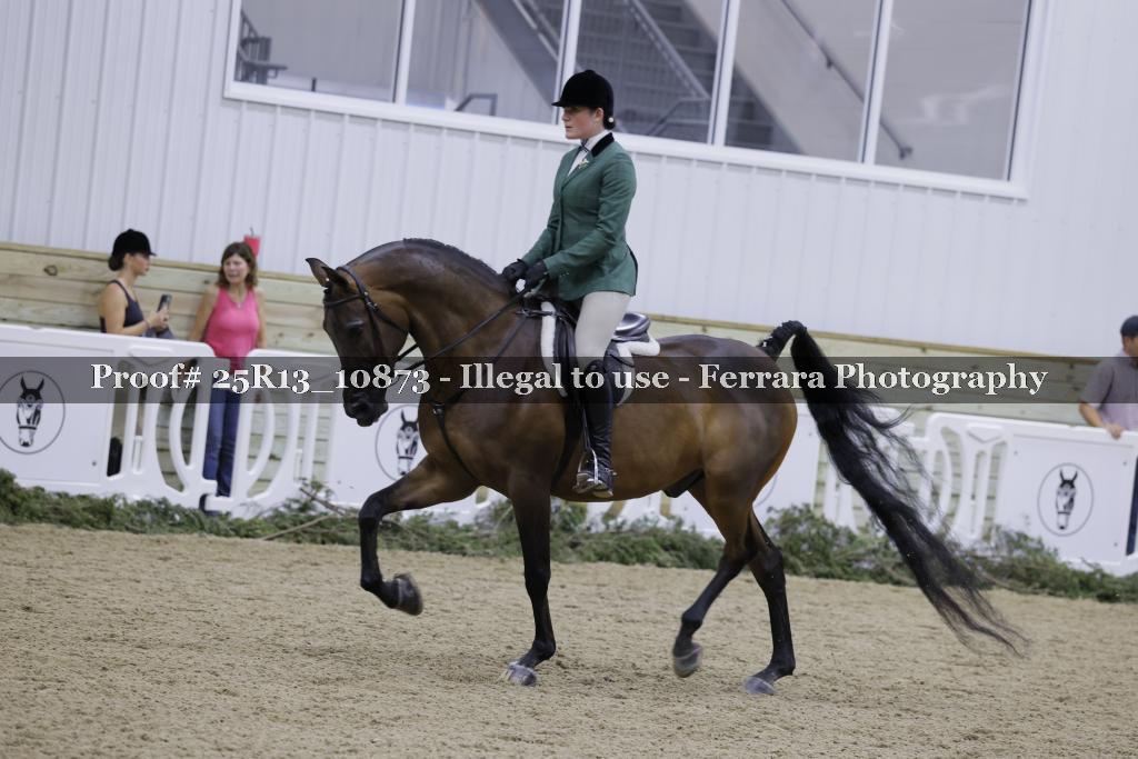Proof Number 25R13_10873