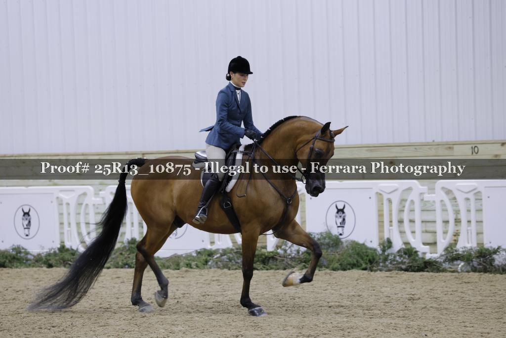 Proof Number 25R13_10875