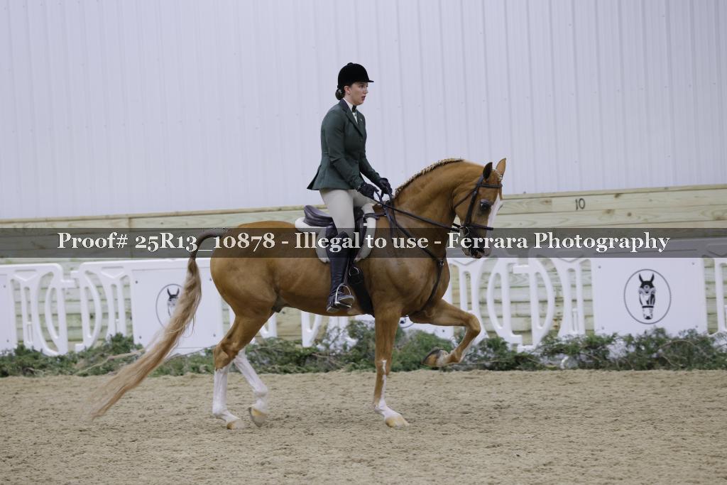 Proof Number 25R13_10878