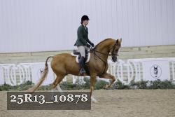 25R13_10878 thumbnail