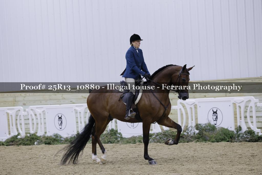 Proof Number 25R13_10880