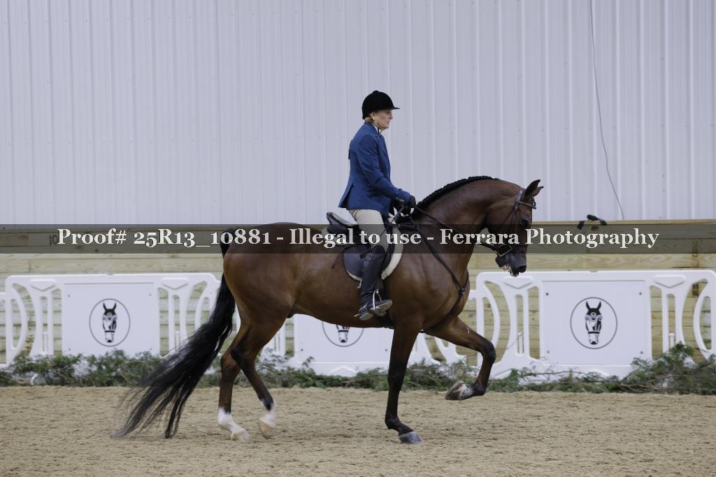 Proof Number 25R13_10881