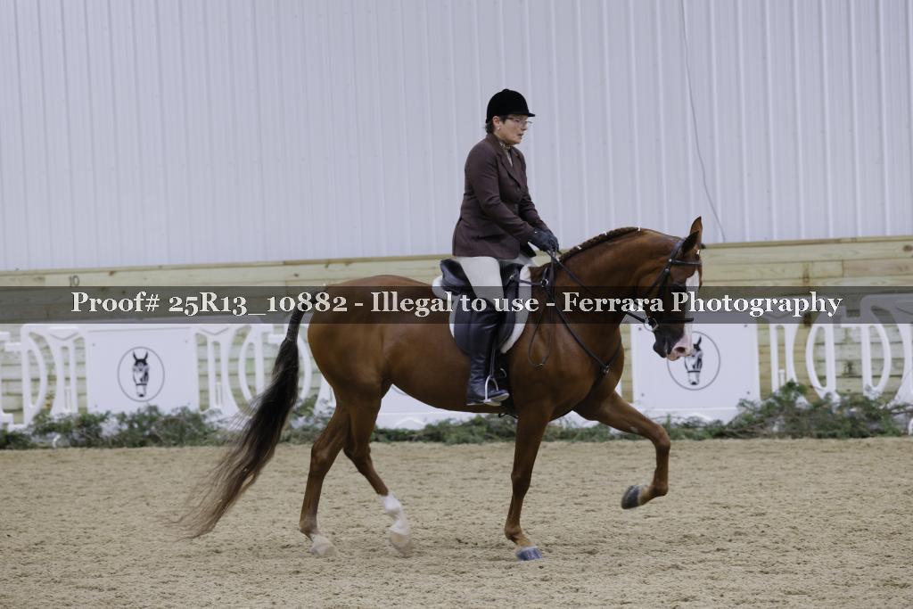 Proof Number 25R13_10882