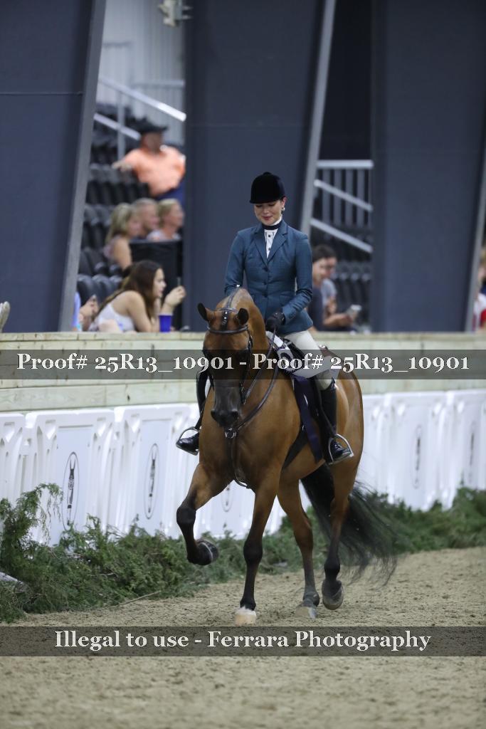 Proof Number 25R13_10901