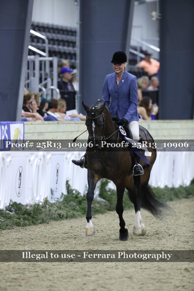 Proof Number 25R13_10906