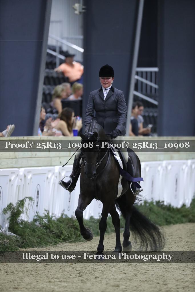 Proof Number 25R13_10908