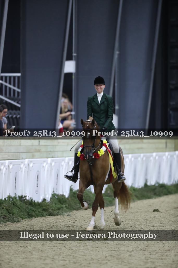 Proof Number 25R13_10909