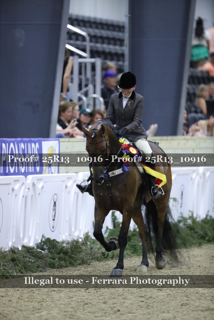 Proof Number 25R13_10916