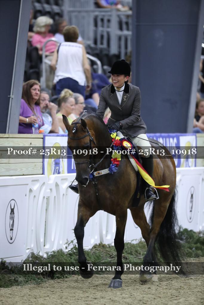 Proof Number 25R13_10918