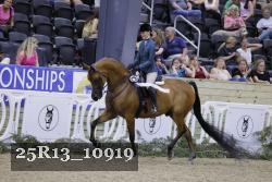 25R13_10919 thumbnail