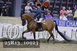 25R13_10923 thumbnail
