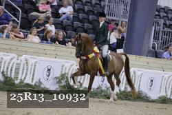 25R13_10932 thumbnail