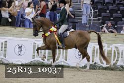 25R13_10937 thumbnail