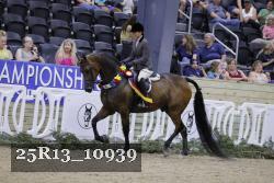 25R13_10939 thumbnail