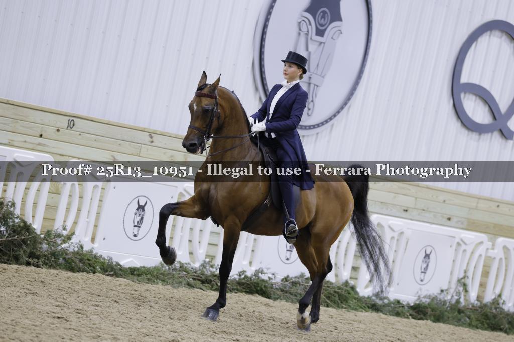 Proof Number 25R13_10951