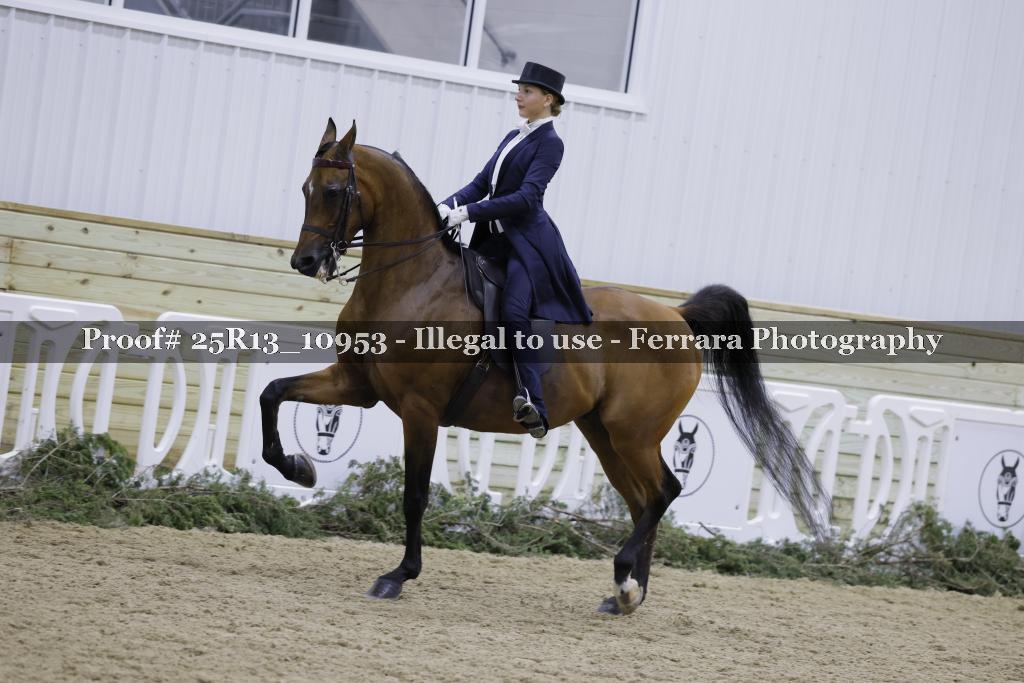 Proof Number 25R13_10953