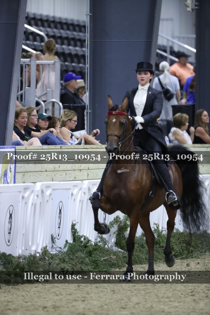 Proof Number 25R13_10954