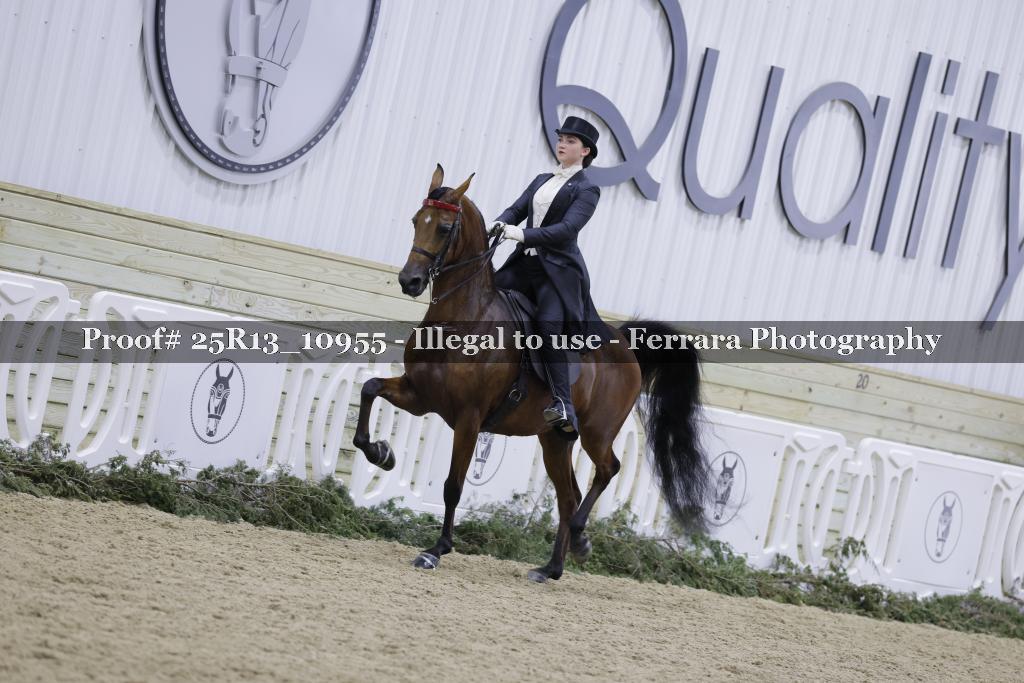 Proof Number 25R13_10955