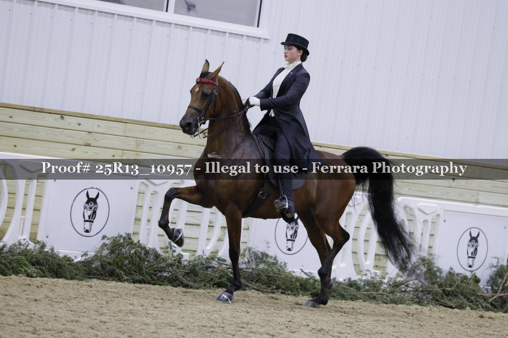 Proof Number 25R13_10957