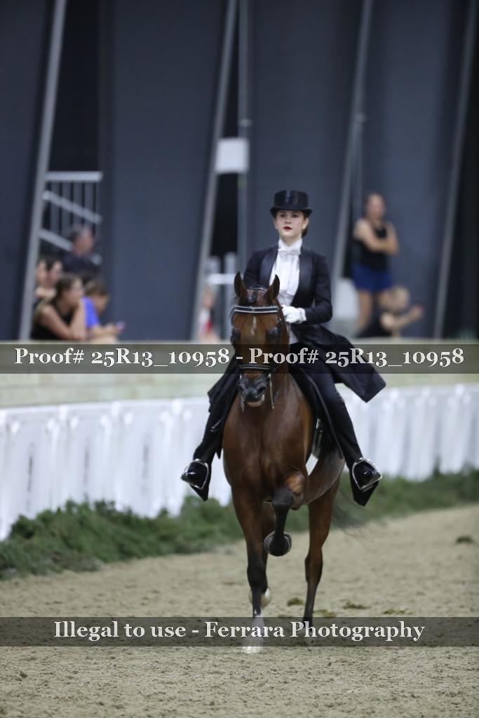 Proof Number 25R13_10958