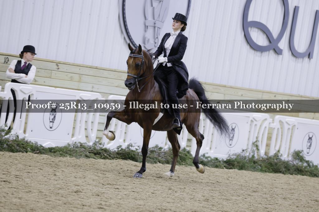 Proof Number 25R13_10959