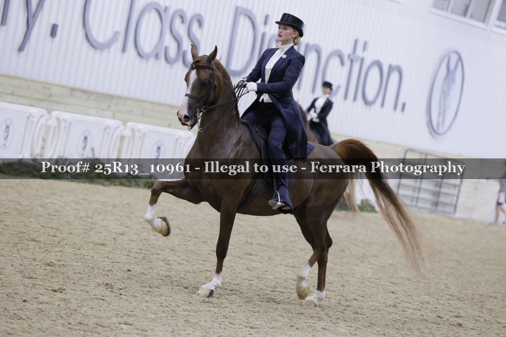 Proof Number 25R13_10961
