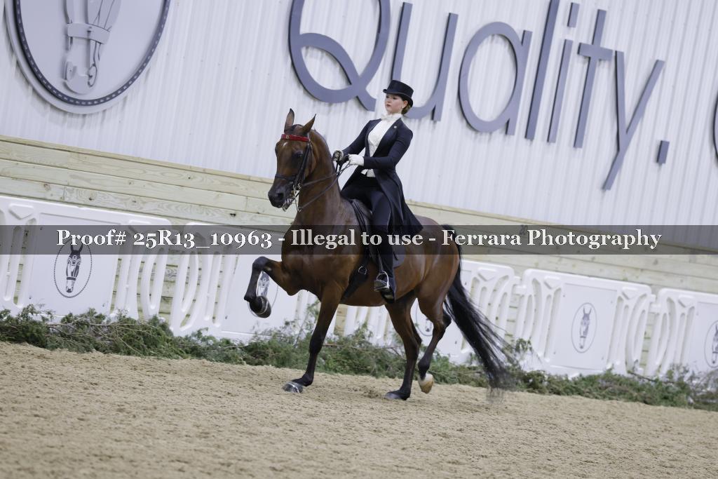 Proof Number 25R13_10963