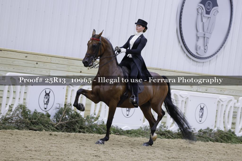 Proof Number 25R13_10965